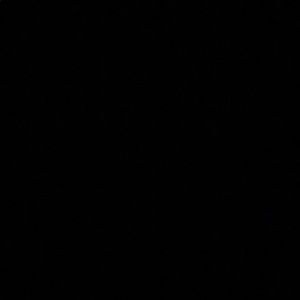 Meet your Posher, Amiya